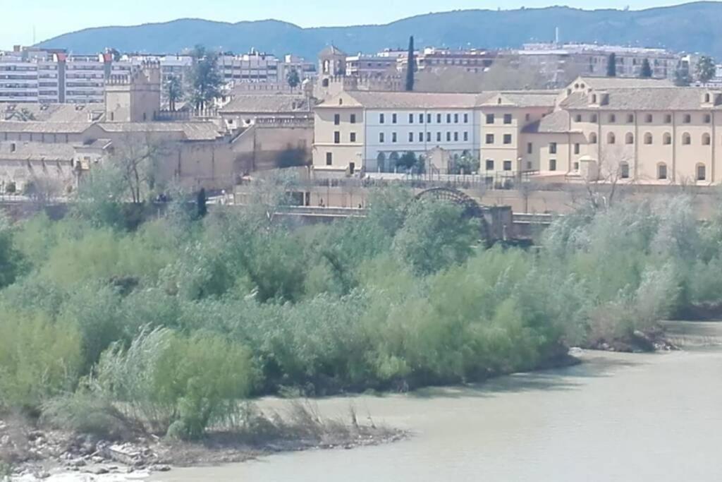Bonito Y Coqueto Apartamento Córdoba Exteriör bild